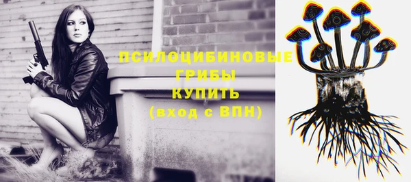 молекула духа Тобольск