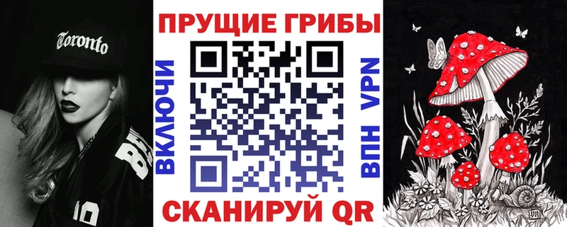 Купить где Юрга Псилоцибиновые грибы Magic Shrooms